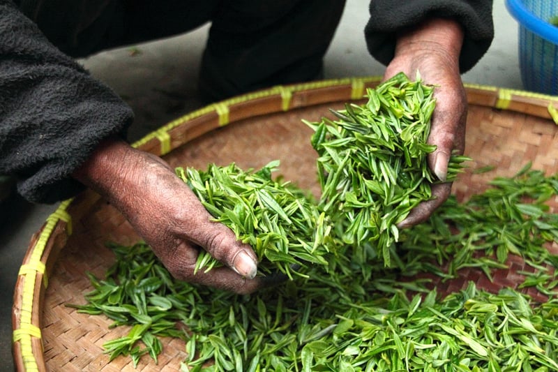 Rooftop Harvesting
