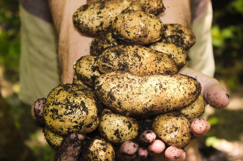Garden Share Programs
